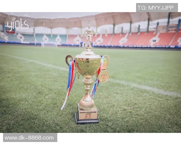 幼儿足球星级评定河南站赛事圆满落幕 选手展现风采激发足球梦想